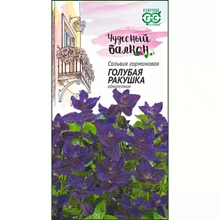 Сальвия Голубая ракушка Сальвия Голубая ракушка