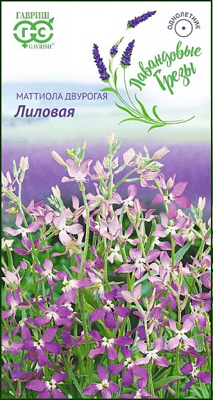 Семена Маттиола двурогая Лиловая.
Неприхотливое декоративное однолетнее растение из семейства Крестоцветные высотой до 40-50 см.
Цветет обильно с конца июня в течение месяца. Для продления цветения можно проводить повторные посевы с интервалом в две недели в течение всего лета.
Цветки мелкие, лиловой окраски, обладают сильным природным ароматом, особенно в вечерние и ночные часы. 
Светолюбива, но может расти в полутени. Холодостойка, засухоустойчива, нетребовательна к почвам. 
Выращивают прямым посевом в грунт в начале мая. Всходы появляются через 10-12 дней, их прореживают, оставляя между растениями 15 см. 
Используется для посадки вдоль дорожек, возле террас, беседок, а также в миксбордерах и мавританских газонах.
