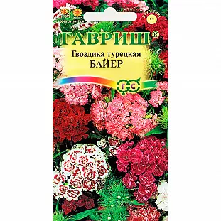 Гвоздика Байер турецкая Гвоздика Байер турецкая