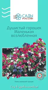 Душистый горошек Маленькая возлюбленная 10 шт