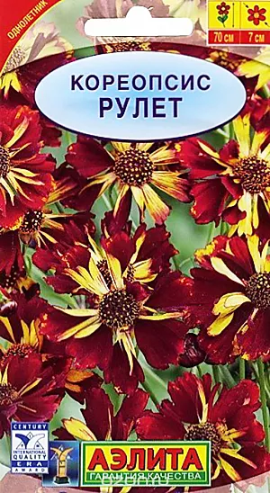 Семена Кореопсис Рулет.
Высокорослый (70 см) однолетний кореопсис с необыкновенной окраской соцветий. Формирует стройные, ветвистые кусты с тонкими, прочными стеблями и ажурной листвой. Соцветия одиночные, крупные – O5-7 см, привлекательные для пчел и бабочек. Обильное цветение длится до устойчивых заморозков. Растения неприхотливые, быстрорастущие, легкие в выращивании и уходе. Идеально подходят для оформления цветников и на срезку в букеты. Дают самосев. 
Агротехника. Посев семян в открытый грунт проводят ранней весной на глубину 0,5-1 см. Можно сеять под зиму, в конце октября. Всходы прореживают в фазе одного-двух настоящих листьев. Растения светолюбивые, холодостойкие и относительно засухоустойчивые. Предпочитают легкие, хорошо дренированные почвы. Отзывчивы на подкормки. Полив необходим только в засушливые периоды. Удаление увядших соцветий стимулирует более пышное цветение.