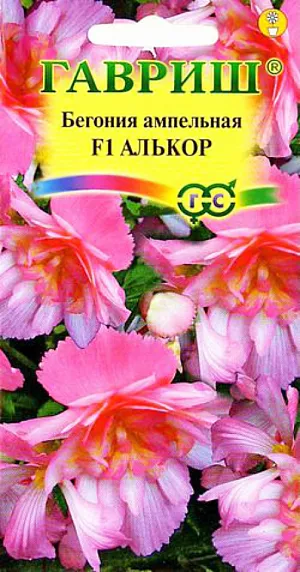 Семена Бегония Алькор ампельная F1.
Бегония – одно из самых великолепных растений в комнатном цветоводстве. Цветки красивой формы, насыщенной яркой окраски.
Стебли бегонии клубневой мясистые, листья большие. Период цветения – с мая по октябрь. 
На зиму растение впадает в период покоя и наземные части его отмирают. Она предпочитает плодородные почвы, со слегка кислой реакцией, светлые или слегка затененные помещения, температура в которых не должна превышать 23 °C. 
Хорошо отзывается на подкормку минеральными и органическими удобрениями. Полив умеренный. 