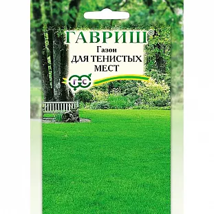 Газон для тенистых мест