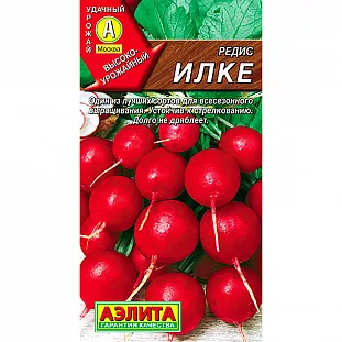 Семена Редис Илке