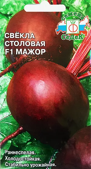 Семена Свекла Мажор столовая F1