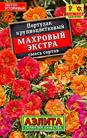Семена Портулак махровый Экстра. Низкорослый летник, украшенный россыпью атласных цветков с июня до заморозков. Неприхотливый, засухоустойчивый, болезнями и вредителями не поражается. Идеален для бордюров и садовых контейнеров.