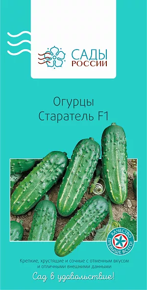 Семена Огурец Старатель F1
