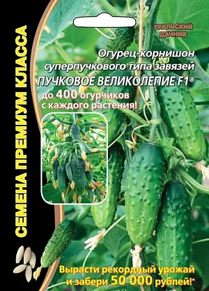 Семена Огурец Пучковое великолепие F1