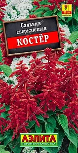Сальвия Костер Сальвия Костер