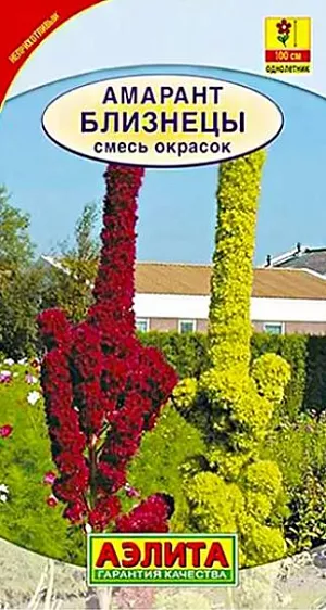 Амарант Близнецы из каталога Амарант Семена Амарант Близнецы. Смесь включает две расцветки амаранта с прямостоячим метельчатыми соцветиями. Соцветия узкие, напоминают стройные башни или пики. Растения быстрорастущие, крепкие, мощные, высотой около 1 м. Неприхотливые, очень пластичные – выдерживают широкий диапазон условий выращивания. Используются группами в центре клумб, в высоких бордюрах, для декорирования стен и изгородей, на заднем плане смешанных цветников, в декоративных огородах. Соцветия пригодны для срезки в букеты, в т. ч. зимние. Высушенные соцветия не теряют яркость окраски несколько лет.
