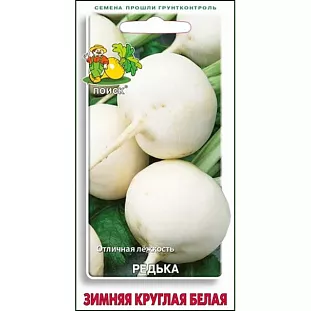 Семена Редька Зимняя круглая белая Семена Редька Зимняя круглая белая