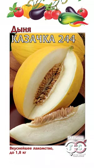 Семена Дыня Казачка