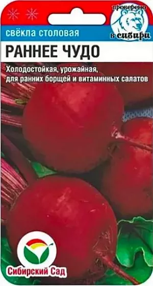 Семена Свекла Раннее чудо