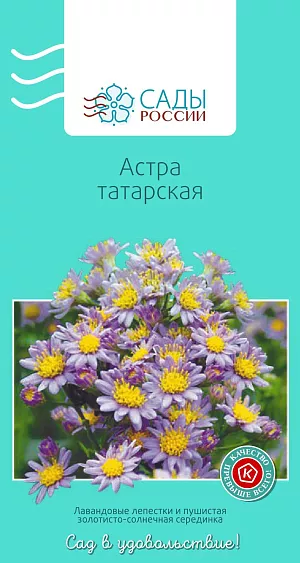 Астра многолетняя Татарская

Приветливый цветок-звездочка наделен не только привлекательной скромной и незатейливой красотой, но и даром исцеления. Все растение от корней до самых кончиков листьев накапливает в себе целый кладезь полезных биологически активных веществ, обладающих жаропонижающим и противовоспалительным свойствами, а также муколитическим действием, облегчающим сухой и надсадный кашель. Астра татарская в конце лета – начале осени раскрывается во всем своем великолепии. Растение крупное, с прямыми прочными стеблями, разветвленными в верхней части куста. В китайской медицине используют отвар корней как отхаркивающее при туберкулезе и кашле. Имеются противопоказания, следует согласовать применение с врачом.
