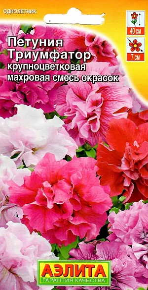 Семена Петуния Триумфатор крупноцветковая махровая смесь окрасок.
Эффектный сорт, отличающийся способностью одновременно продуцировать на одном растении простые и махровые цветки в соотношение примерно 50/50. Цветение очень раннее и продолжительное, с весны до первых заморозков. Кустики пышные, ветвистые, высотой до 40 см, густо покрыты цветками O 6-7см. Растения неприхотливые, хорошо адаптируются к любым условиям. Не теряют своей декоративности под воздействием дождя и ветра. Отлично смотрятся на клумбах и в бордюрах, великолепны в ковровых посадках, подходят для выращивания в подвесных корзинах и кашпо. Агротехника. Посев семян на рассаду. Семена в гранулах! Гранулы располагают на поверхности почвы, не заделывая их, хорошо увлажняют из распылителя. При попадании влаги на гранулу оболочка должна раствориться. Посевы накрывают стеклом для сохранения постоянной влажности до полных всходов. Февральским посевам требуется дополнительная подсветка. Сеянцы пикируют в фазе одного-двух настоящих листьев. В фазе пяти-шести листьев проводят формирующую прищипку. Рассаду высаживают в открытый грунт, когда минует угроза заморозков. 