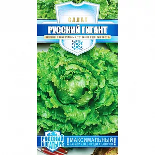 Семена Салат Русский богатырь Семена Салат Русский богатырь