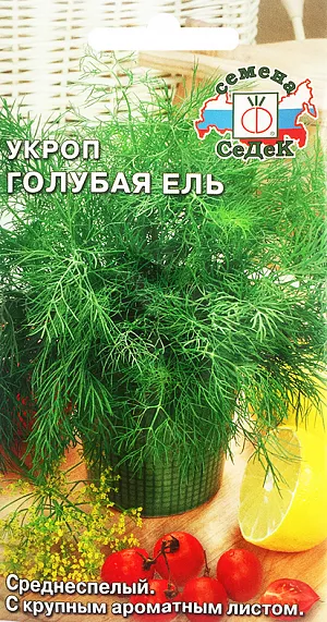 Семена Укроп Голубая ель