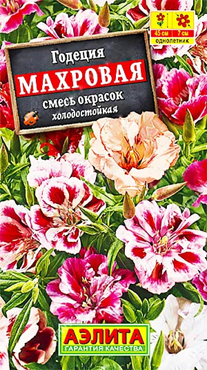 Семена Годеция Махровая смесь окрасок.
Очаровательная смесь окрасок обильноцветущего однолетнего растения с крупными махровыми колокольчатыми цветками ø 6-8 см. Кустики прямостоячие, хорошо облиственные, ветвистые, высотой 40-50 см. Цветки собраны в многочисленные плотные кисти так, что одно растение напоминает шикарный букет. Цветение раннее и продолжительное, с июня до заморозков. Растения светолюбивые, не любят застоя воды в почве. Отлично подходят для рабаток, клумб, групповых посадок и контейнерной культуры. Хороший материал для срезки. 
Агротехника. Посев семян на рассаду в апреле. Всходы появляются через 7-10 дней. Сеянцы пикируют в фазе одного-двух настоящих листьев в отдельные горшочки. Рассаду в открытый грунт высаживают, не дожидаясь сроков окончания возвратных холодов. Предпочитает солнечные участки с плодородной, дренированной почвой. Возможен посев семян в открытый грунт ранней весной или под зиму, в конце октября.