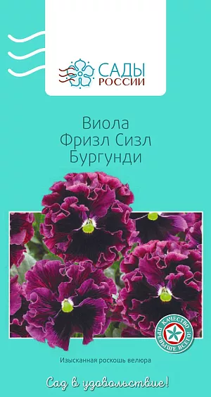 Виола Фризл Сизл Бургунди 

Новое поколение крупноцветковых гибридов с причудливыми волнисто-гофрированными лепестками. Диаметр цветков 6–8 см. Зимостойка и холодостойка. Любит регулярное рыхление почвы и хорошее увлажнение.
