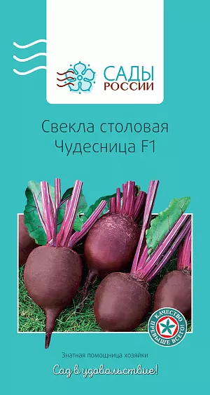 Свёкла Чудесница F1 1гр Свёкла Чудесница F1 1гр