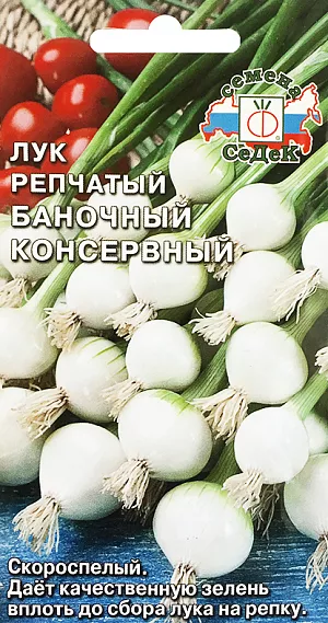 Семена Лук Баночный консервный репчатый
