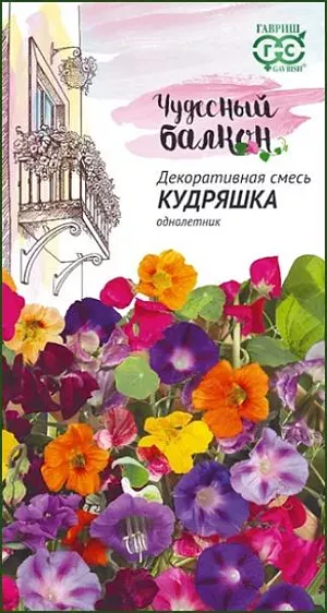 Семена Декоративная смесь однолетних Кудряшка из каталога Смесь Семена Декоративная смесь однолетних Кудряшка<br>
<br>
Красочная смесь Кудряшка — изобилие цветов на вашем балконе в виде нарядных вертикальных ширм до 2-3 м, объемных ампелей и ниспадающих каскадов. Состоит из разнообразных видов однолетних вьющихся растений (душистый горошек, ипомея пурпурная, кобея лазающая, вьюнок трехцветный и др.). Растения нетребовательны к условиям выращивания, неприхотливы и легки в уходе, предпочитает солнечные места, выносит небольшое затенение. Для получения раннего цветения семена высевают на рассаду в марте-апреле, на балконы высаживают в мае. Семена можно высевать в балконные ящики в мае, после прогрева почвы. Когда растения достигнут высоты 10 см, их подвязывают к шпалере. Цветут с июня по октябрь. Прекрасно подходит для оформления балконов, беседок и веранд.<br>