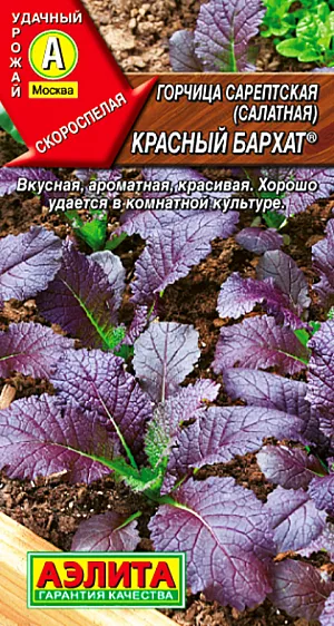 Горчица салатная Красный бархат Горчица салатная Красный бархат
