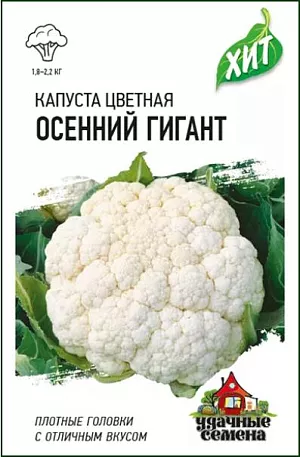 Семена Капуста цветная Осенний гигант F1