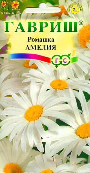 Ромашка Амелия из каталога Разные Семена Ромашка Амелия.
Неприхотливый корневищный многолетник высотой 40-60 см. Период цветения – июнь-август. Соцветия крупные, белые с желтой серединой. Хорошо растет на солнечных участках с любой достаточно увлажненной и плодородной почвой. Отличается необыкновенно длинным цветением — с июля до морозов. После окончания цветения побеги рекомендуется срезать, так как они быстро засыхают и портят внешний облик растения. Зимует растение с розеткой листьев. Размножается семенами, делением корневищ и черенками. Семена высевают весной или осенью.
При весеннем посеве всходы появляются через 18-20 дней. Растения зацветают на второй год.