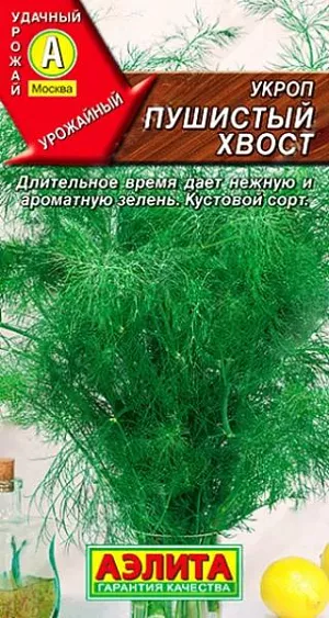 Укроп Пушистый хвост Укроп Пушистый хвост