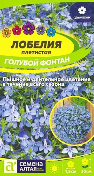 Семена Лобелия плетистая Голубой Фонтан из каталога Лобелия Семена Лобелия плетистая Голубой Фонтан<br>
<br>
Очаровательное растение для подвесных корзин и контейнеров, выращиваемое в однолетней культуре. Распростёртые или свисающие побеги, длиной до 30 см, обильно усыпаны мелкими, 1,5 см диаметром, голубыми цветками причудливой формы, расположенными в пазухах листочков. Чудесно смотрится в подвесных корзинах, балконных ящиках, вазонах, мини-альпинариях. Светолюбивое, теневыносливое и влаголюбивое растение, достаточно холодостойкое. Наибольшей декоративности достигает на открытых солнечных участках с хорошо дренированными супесчаными и суглинистыми почвами средней влажности без избытка органики (иначе цветение будет слабым). Посевы на рассаду проводят в феврале. <br>