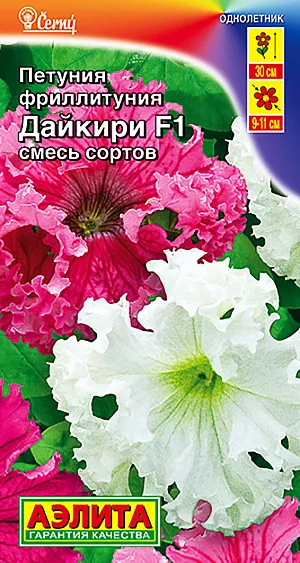 Семена Фриллитуния Дайкири крупноцветковая бахромчатая, смесь окрасок F1.<br>
 Эффектная петуния с уникальными, гофрироваными цветками. Очень крупные (O 9-11 см), с волнистой бахромой по краям, они выглядят броско и привлекательно. Кустики компактные, до O 30 см, выравненные, хорошо разветвленные. Растения достаточно устойчивы к погодным стрессам. Подходят для выращивания на клумбах и в горшках. Агротехника. Семена в гранулах! Гранулы располагают на поверхности почвы, не заделывая их, хорошо увлажняют из распылителя. При попадании влаги на гранулу оболочка должна раство- <br>
риться. Посевы накрывают стеклом для сохранения постоянной влажности до полных всходов. Февральским посевам требуется дополнительная подсветка. Сеянцы пикируют в фазе одного-двух настоящих листьев. В фазе пяти-шести листьев проводят формирующую прищипку. Для продолжительного и обильного цветения растениям необходим своевременный полив, регулярная прополка, рыхление и подкормка минеральными удобрениями.