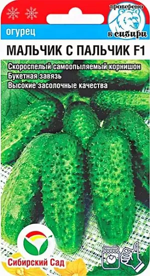 Семена Огурец Мальчик с пальчик Семена Огурец Мальчик с пальчик