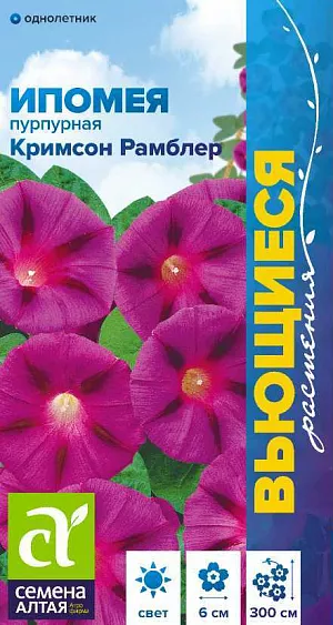 Ипомея Кримсон Рамблер из каталога Ипомея Ипомея Кримсон Рамблер
Однолетняя травянистая быстрорастущая лиана, достигающая в длину 2,5-3,0 м. Одно из лучших растений для вертикального озеленения. На фоне сочной зелени щитовидных листьев контрастно и очень эффектно смотрятся яркие крупные, до 6 см диаметром, воронковидные по форме карминно-красные цветки с нечетким звездчатым рисунком. Перед посевом семена замачивают на 2-3 часа в горячей воде (до +50ºС) для набухания. В открытый грунт на постоянное место рассаду высаживают в конце мая - начале июня. Посевы в открытый грунт проводят во второй половине мая по 2-3 семечка в лунку, глубина заделки семян 0,5-1 см. Посадочный интервал – 25-30 см. При температуре воздуха +18-20°С всходы появляются через 14-18 дней. Цветение с июля до заморозков. Для продолжительного и обильного цветения увядшие цветки рекомендуется удалять.