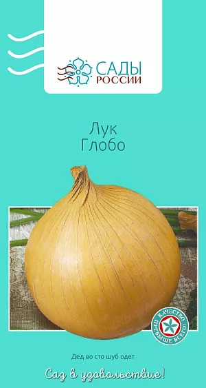 Лук репчатый Глобо