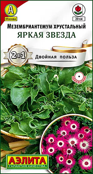 <div>
 Семена Мезембриантемум Яркая звезда.
</div>
 Красивое, колоритное растение с необычны ми листочками и необыкновенным цветением! Все части растения покрыты железистыми волосками – папиллами, которые похожи на сверкающие капли. Благодаря этому растение получило название «хрустальная трава». Мезембриантемум используют, как овощное и как декоративное. Листья и молодые побеги имеют приятный кисловатый вкус. Их используют в сыром виде в салатах. Растение отлично вы глядит в бордюрах и каменистых садиках, где создает ковер из изумительных ярких цветов.<br>
 <br>
  Растение предпочитает солнечные, защищенные от холодных ветров участки с легкими песчаными почвами. Для получения ранней продукции выращивают рассаду. В южных регионах семена можно сеять непосредственно в открытый грунт на глубину 0.5 см.<br>