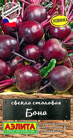 Свекла столовая Бона Свекла столовая Бона