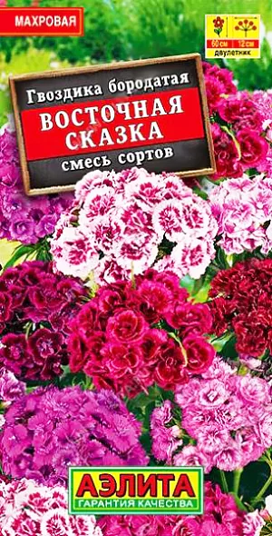 Семена Гвоздика Восточная Сказка смесь окрасок турецкая.
Яркая, махровая смесь популярного садового растения. Многочисленные цветки ø 1,5 см собраны в крупные, плотные щитковидные соцветия. Стебли прямостоячие, прочные, высотой 50-60 см. Цветение обильное, продолжительное, с июля до окончания сезона. Гвоздика турецкая холодостойкая, морозоустойчивая, хорошо растет на открытом солнце и в полутени. Для цветения в год посева рекомендуем выращивать рассадным способом.
Агротехника. Посев семян на глубину 1 см. В фазе одного-двух настоящих листьев сеянцы пикируют. Закаленную рассаду высаживают в открытый грунт с середины мая. 
При посеве семян непосредственно в открытый грунт в июне растения зацветают на второй год.
