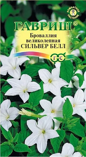 <div>
 Семена Броваллия Сильвер Белл.
</div>
 <article>
<p>
 Многолетнее растение для комнат и интерьеров. Броваллию выращивают в виде кустика высотой 25-30 см. и диаметром 30-35 см., она хорошо формируется, в ответ на внимание и уход обильно и продолжительно цветет. Растение сильноветвящееся, с гибкими побегами, великолепно сочетает окраску белых цветков и темно-зеленой листвы. Цветки звездчато-воронковидные, с прочной фактурой, до 2-3 см в диаметре, пазушные или собранные в рыхлые кистевидные соцветия. 
</p>
<p>
 Броваллия неприхотлива, достаточно холодостойка. Предпочитает светлое проветриваемое место, летом ее защищают от прямых солнечных лучей. Температура содержания летом 24°С, ночью на несколько градусов ниже, зимой - около 17°С, ночью - 15°С. Полив летом регулярный, зимой умеренный. Подкормки производят удобрением для кактусов, содержащим мало азота, летом через 10-14 дней, зимой через 6-8 недель. Почву используют обычную для цветов. Семена у броваллии мелкие, их высевают, начиная с февраля, не заделывая в почву. При температуре почвы 20-22°С семена прорастают через 2 недели. Броваллию можно выращивать и как однолетник на клумбах, бордюрах, в подвесных корзинах в защищенных от ветра местах.<br>
</p>
 </article>