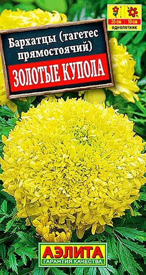 Семена Бархатцы Золотые купола.
Исключительно декоративный сорт с оригинальными крупными (7-9 см) соцветиями хризантемовидной формы. Кусты сильноветвистые, прямостоячие, высотой 40-45 см, с крепкими цветоносами. Цветение раннее, обильное и продолжительное, с июня до заморозков. Растения неприхотливые, быстрорастущие, свето- и теплолюбивые, относительно засухоустойчивые. Широко используются для украшения клумб, бордюров, рабаток, отлично подходят для контейнерной культуры. 
Агротехника. Выращивают рассадным способом. Посев семян проводят в первой половине апреля. Всходы появляются через 4-8 дней после посева, сеянцы пикируют в фазе одного-двух настоящих листьев. Рассаду высаживают в конце мая-начале июня. Возможен посев в открытый грунт в мае на глубину 1см. Растениям необходимы регулярные поливы, прополки, рыхления и подкормки.