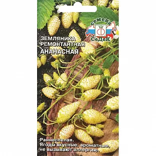 Семена Земляника (клубника) Ананасная ремонтантная