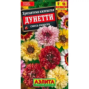 Семена Хризантема Дунетти смесь окрасок
