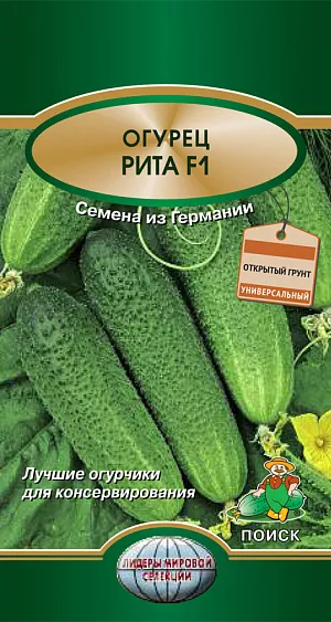 Семена Огурец Рита F1