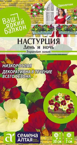 Семена Настурция День и ночь низкорослая

Эффектный садовый однолетник. Превосходная смесь бордовых и кремовых цветков. Растение компактное, побеги прямостоячие, высотой до 30 см. Листва светло-зелёная, цветки крупные душистые, 5-7 см в диаметре. Отлично подходит для оформления переднего плана цветников, бордюров, балконов, декоративных ваз.