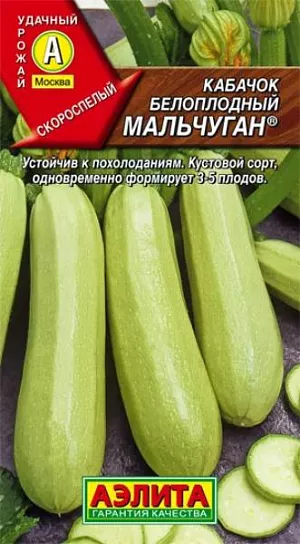 Семена Кабачок белоплодный Мальчуган Семена Кабачок белоплодный Мальчуган
