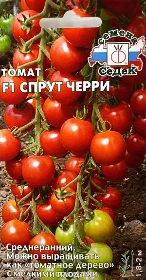 Семена Томат Спрут черри Семена Томат Спрут черри