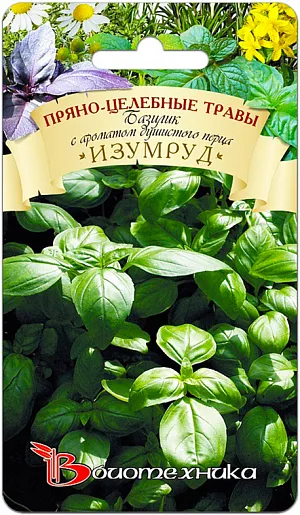Семена Базилик Изумруд (с ароматом душистого перца)