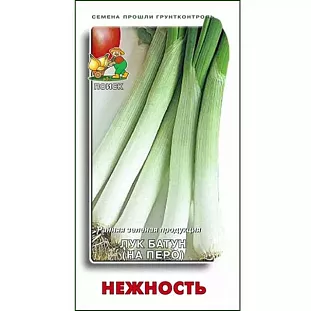 Семена Лук батун (на перо) Нежность