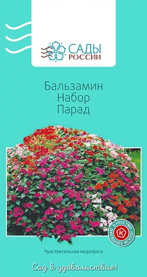 Семена Бальзамин Парад набор 0,05гр из каталога Бальзамин Бальзамин Парад набор
Нарядный красавец бальзамин, известный как «недотрога» или «Ванька мокрый», получивший такое прозвище за предпочтение влажной почвы. Растения крепкие, компактные, в поперечнике до 30–35 см. Цветение раннее, обильное и продолжительное. Рассаду высаживают в грунт, когда минует угроза заморозков..