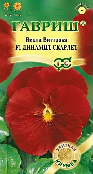 <div>
 Семена Виола Динамит Скарлет F1.
</div>
 <article>
<p>
 Компактный плотный куст высотой 20 см. Цветки красные, крупные, диаметром 6-8 см. Обильно и продолжительно цветет. Влаголюбива, холодостойка, хорошо растет на солнце и в полутени. Используют для посадки на клумбы, в рабатки, балконные ящики и садовые вазы.
</p>
 </article>